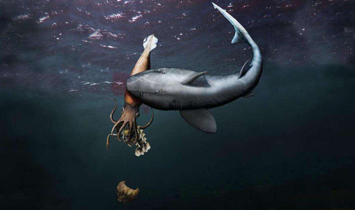 Fóssil revela tubarão predando lula que devorava