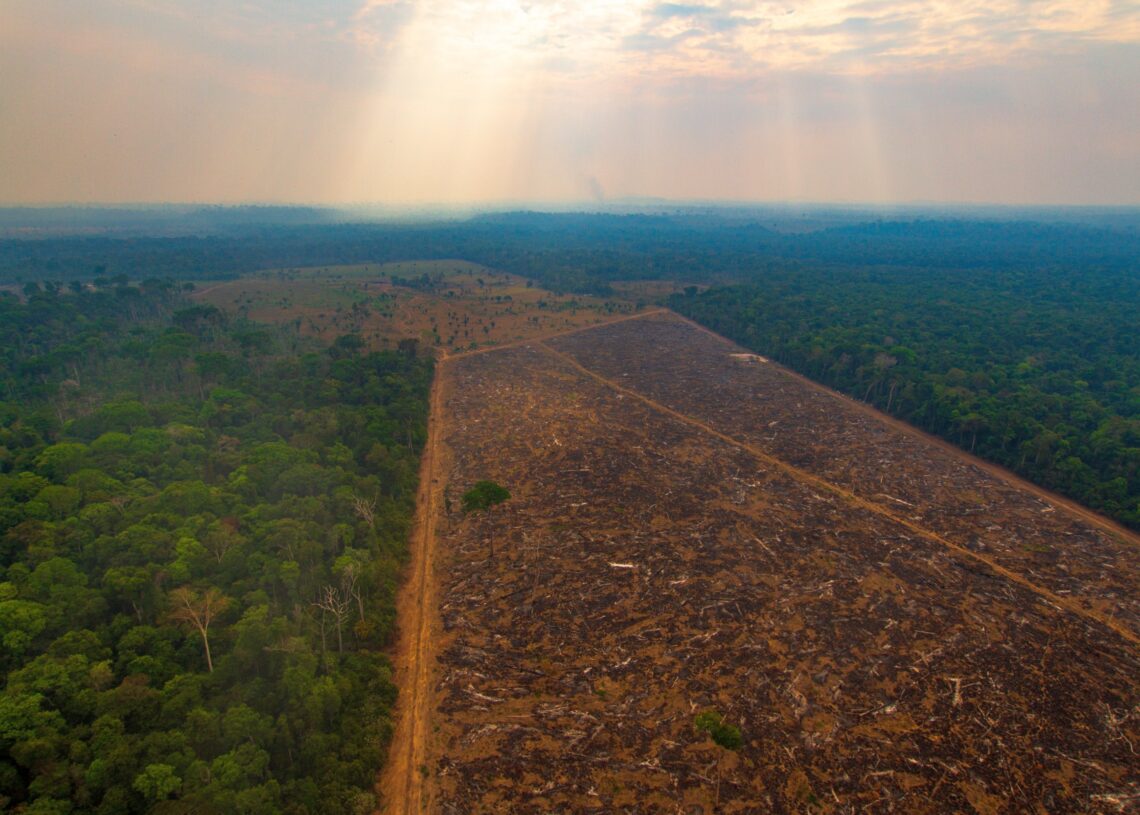 Área desmatada ilegalmente na Floresta Amazônica. Imagem: Marcio Isensee/Shutterstock