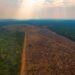 Área desmatada ilegalmente na Floresta Amazônica. Imagem: Marcio Isensee/Shutterstock