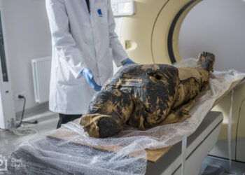 Esta múmia grávida foi encontrada no lugar que deveria pertencer a um sacerdote. Imagem: Projeto Múmia de Varsóvia