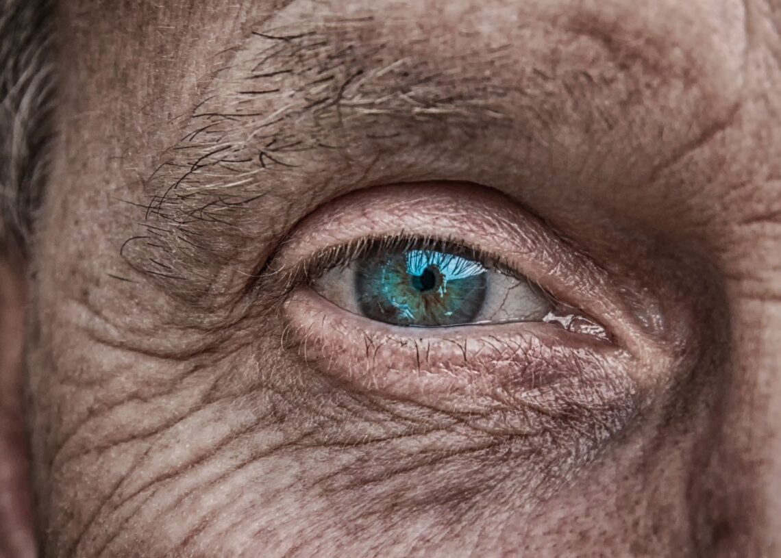 Usando proteínas recombinantes de algas, pesquisadores conseguiram recuperar parcialmente a visão de um paciente cego há 40 anos. Imagem: analogicus/ Pixabay