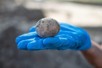 Pesquisadores descobrem ovo de 1.000 anos em Israel e o quebram sem querer
