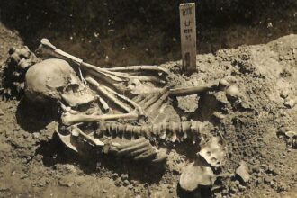Um tubarao matou esta pessoa ha 3.000 anos no Japao
