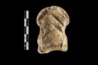 Descoberta indica que Neandertais esculpiam ha 51.000 anos