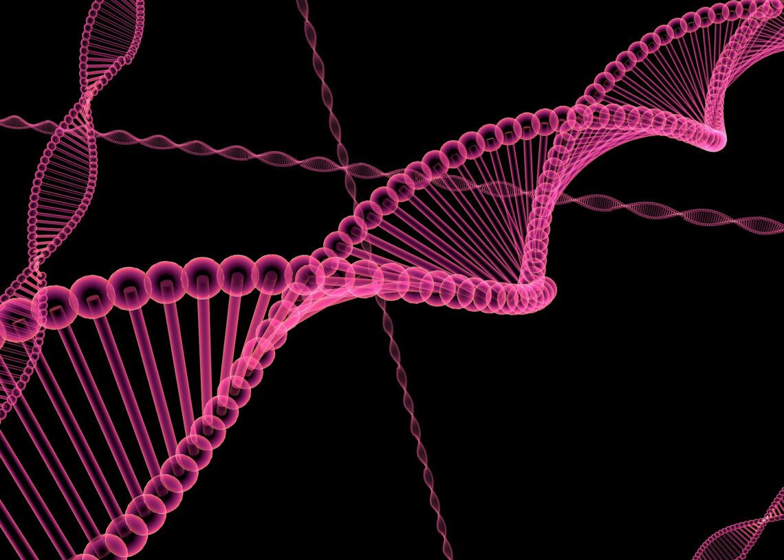 Essa nova estrutura de DNA pode ser algo completamente novo para a biologia molecular. Imagem: Peggy und Marco Lachmann-Anke/ Pixabay