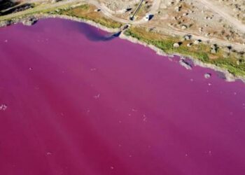 Esta lagoa na Patagônia ficou rosa devido a resíduos industriais despejados na água contra a lei. Imagem: AFP