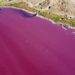 Esta lagoa na Patagônia ficou rosa devido a resíduos industriais despejados na água contra a lei. Imagem: AFP