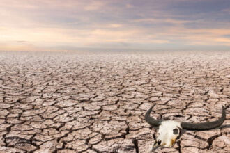 Primeira fome do mundo causada por mudanças climáticas