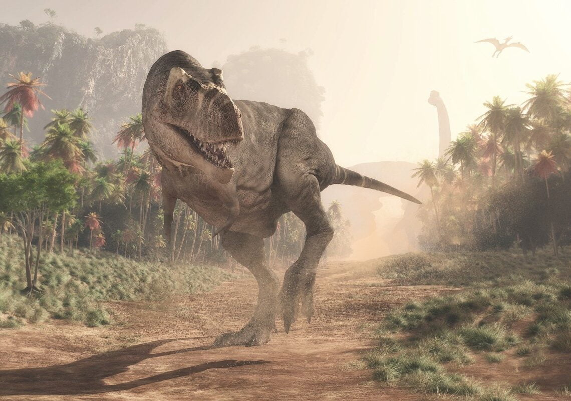 Um Tiranossauro. Imagem: Reprodução
