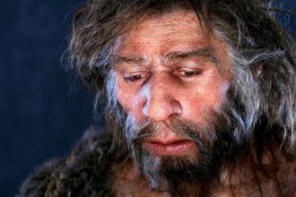 neandertal tipo sanguineo