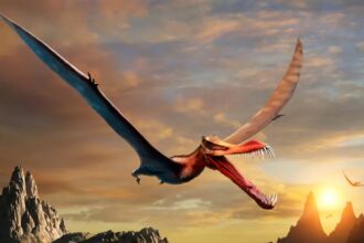 pterossauro capa
