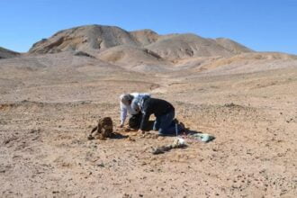 Arqueólogos encontraram restos mortais em deserto chileno