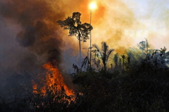amazonia pegando fogo