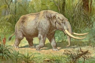 mastodons capa climate change widexl