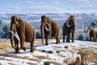 mamute lanoso