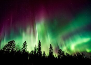Aurora boreal sobre um bosque. Imagem: Pixabay