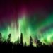 Aurora boreal sobre um bosque. Imagem: Pixabay