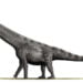 Argentinosaurus huinculensis. Imagem: Nobu Tamura / Wikipedia Commons