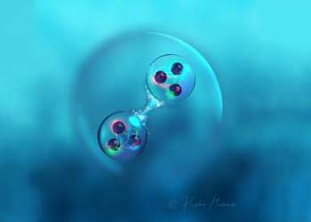 Impressão artística de um estado de seis quarks (dibaryon) que consiste em dois baryons. Imagem: Keiko Murano