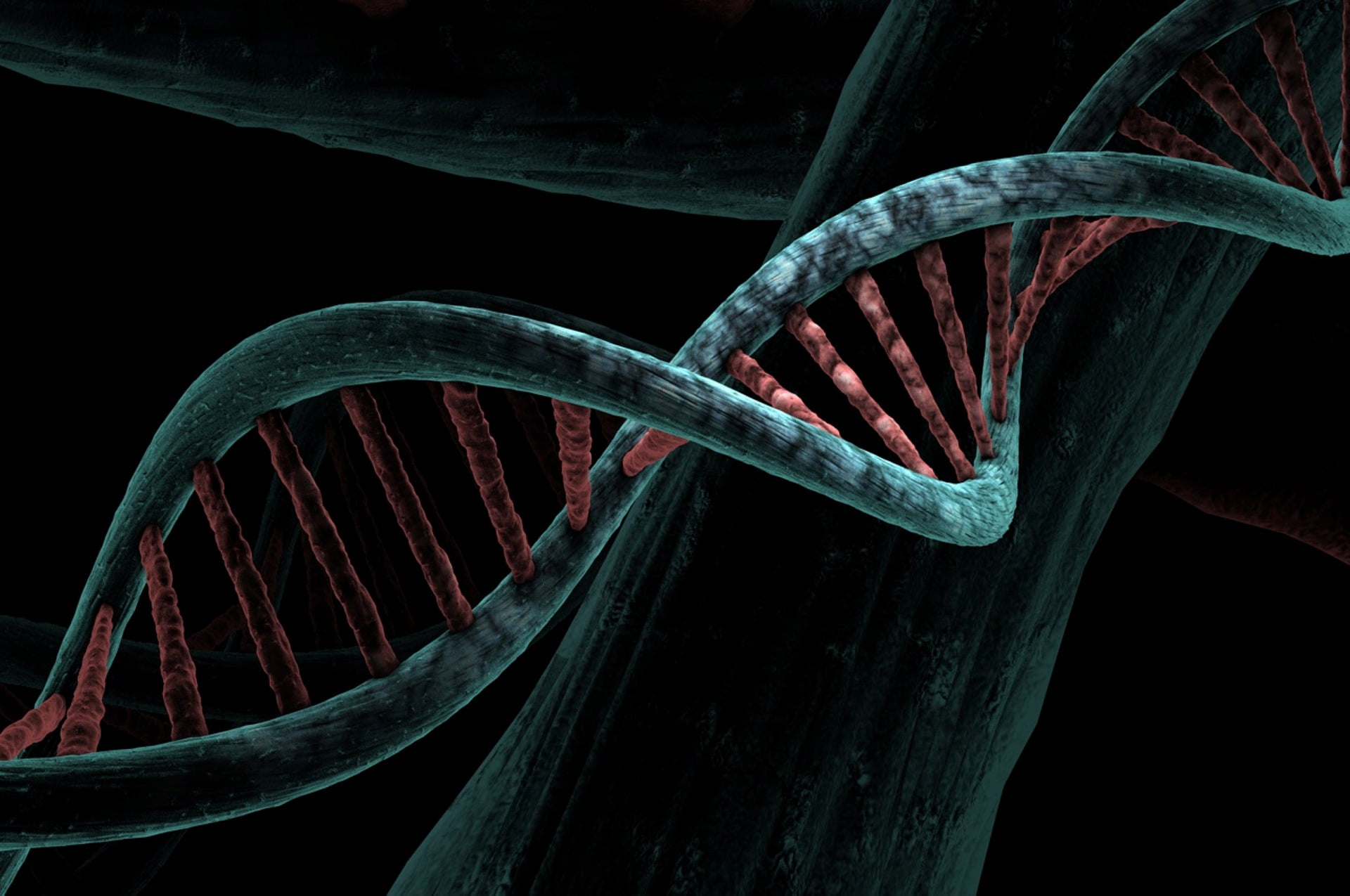 Разрушенное днк. Клетка ДНК человека. Спираль ДНК. Мутация ДНК. Разрушенная ДНК.