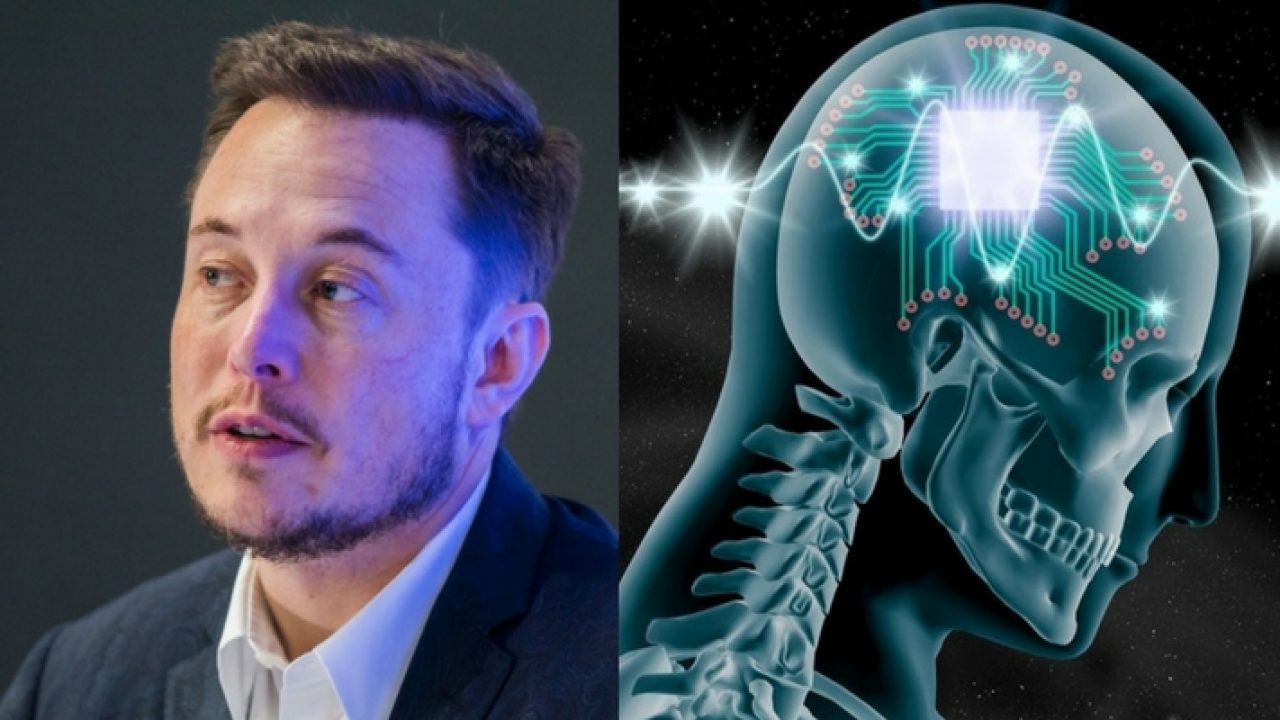 Elon Musk’s Neuralink Project worries scientists a lot