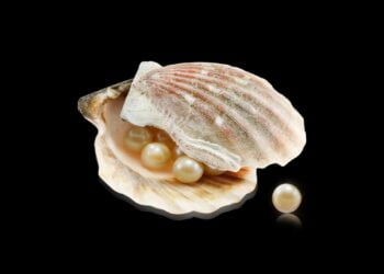 Como as ostras produzem as pérolas