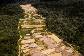 garimpo de ouro ilegal amazonia 16