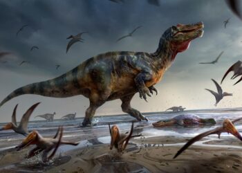 O dinossauro encontrado foi um dos maiores predadores da sua época. Imagem: Anthony Hutchings