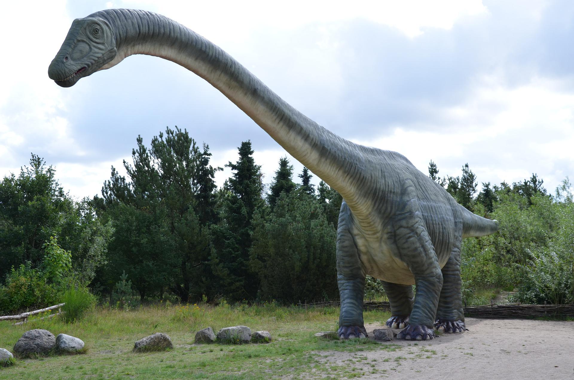 os 8 maiores dinossauros que já existiram