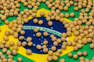 brasil e o maior produtor de soja do mundo