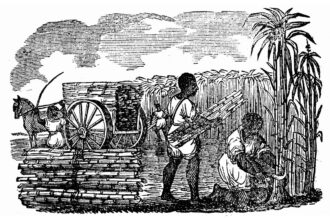tráfico de escravos