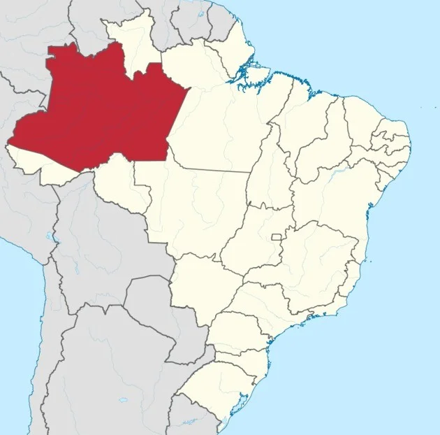 Maiores estados do Brasil, Amazonas - Foto: Reprodução