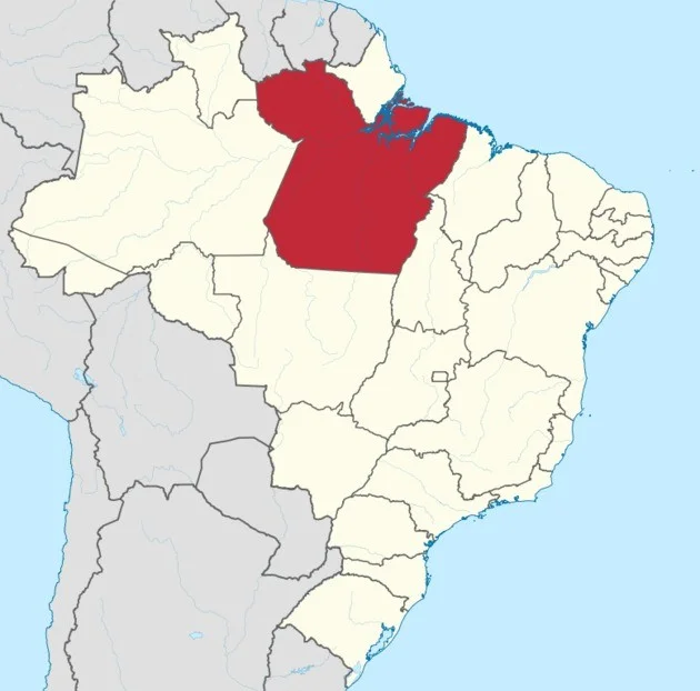 Maiores estados do Brasil, Pará - Foto: Reprodução