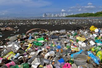 reciclagem nao e suficiente pra crise do plastico