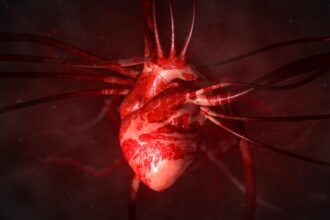 Cientistas ainda estão em busca de construir um coração artificial