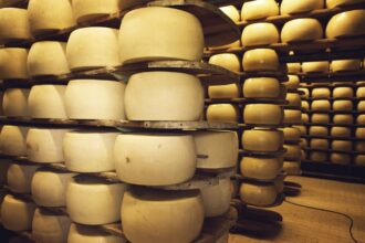 maiores produtores de queijo do mundo