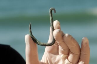 Anzol antigo indica que tubaroes eram cacados na costa de Israel ha 6.000 anos