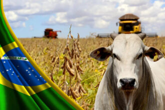 estados com a maior producao agricola do Brasil