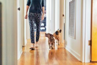 GettyImages 1271918916 cachorro seguindo