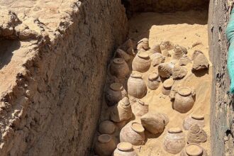 jarras de vinho encontradas em tumba de rainha egípcia