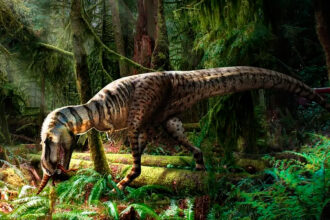 Paleoarte de um gorgossauro juvenil predando dinossauros menores