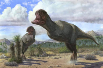 Dois Pycnonemossaurus prontos para o ataque, há 70 milhões de anos, no centro-oeste brasileiro.