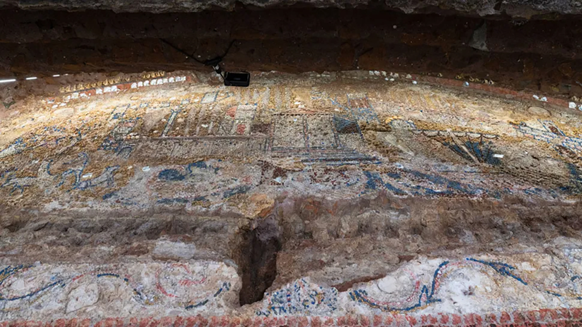 Mosaico de conchas e cores vivas no Coliseu3