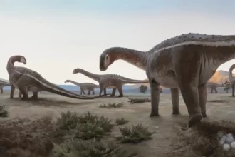 Uma paleoarte de dinossauros brasileiros