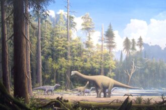 Dinossauros do período Jurássico.