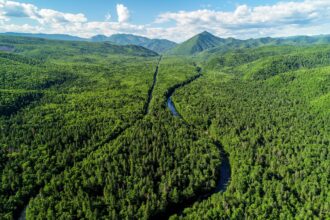 Russia possui a maior floresta do mundo