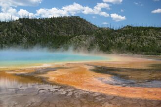 Microrganismo das fontes termais de Yellowstone pode ser a solução para a fome mundial