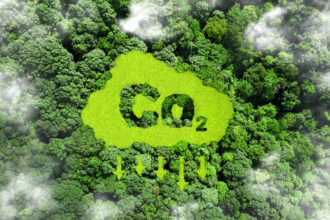 Reduzir o conceito de emissão de CO2. símbolo de co2 na grama verde da floresta. Menor emissão de CO2 para limitar o aquecimento global e as mudanças climáticas e Desenvolvimento sustentável e negócios baseados em energia renovável.