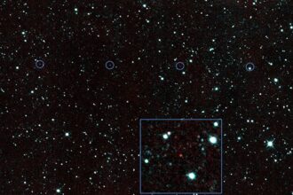 NEOWISE First Images 1