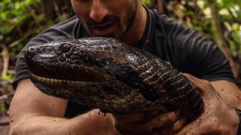 Imagem: Discovery Channel / Mohsin Kazmi